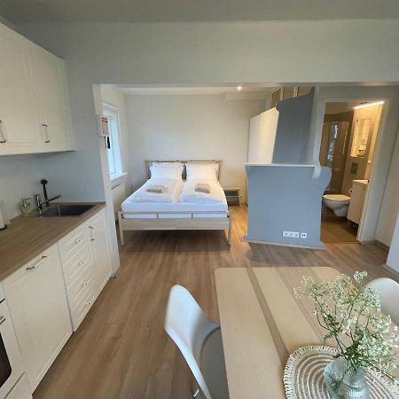 Cosy Studio Apartment Hveragerdi Esterno foto