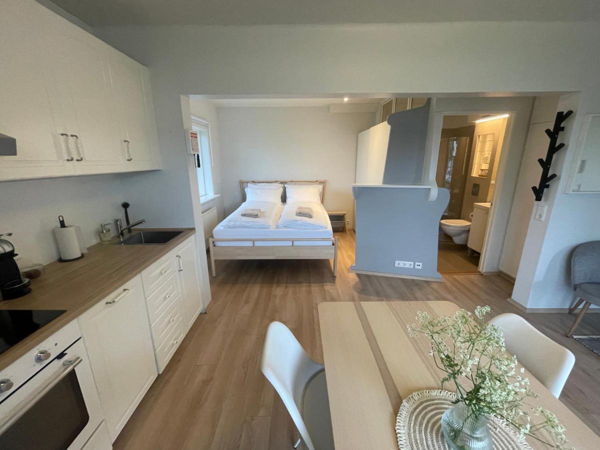 Cosy Studio Apartment Hveragerdi Esterno foto